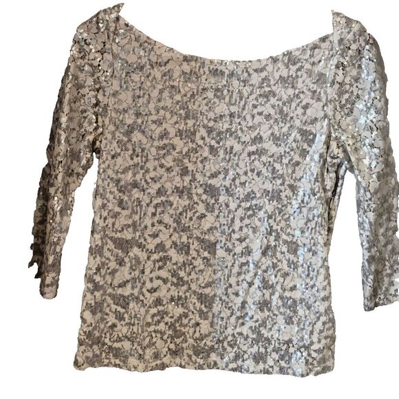 Banana Republic Silver Sequin Lace‎ Top Blouse Party Cocktail Size 6 - Picture 1 of 6